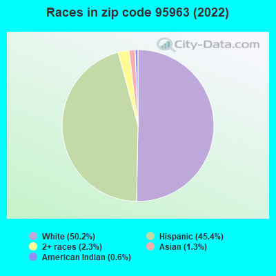 Races in zip code 95963 (2022)