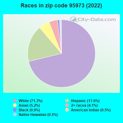 Races in zip code 95973 (2022)