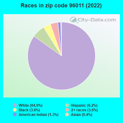 Races in zip code 96011 (2022)