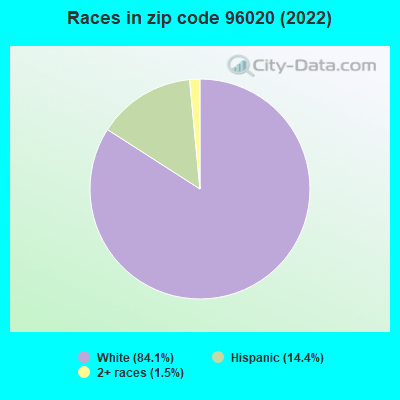 Races in zip code 96020 (2022)