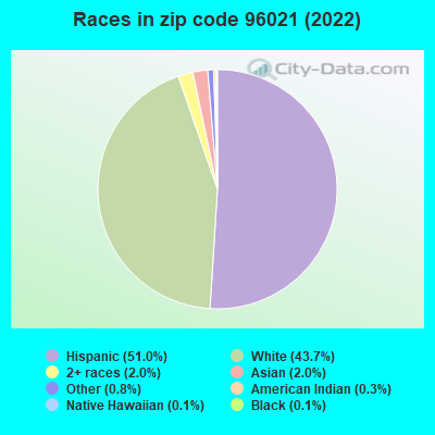 Races in zip code 96021 (2022)