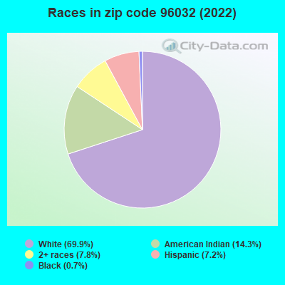 Races in zip code 96032 (2022)