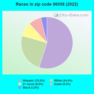 Races in zip code 96058 (2022)