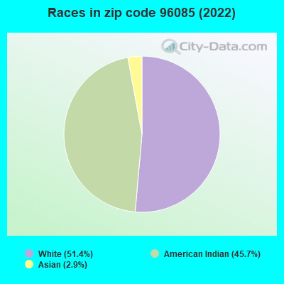 Races in zip code 96085 (2022)