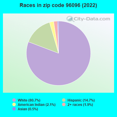 Races in zip code 96096 (2022)