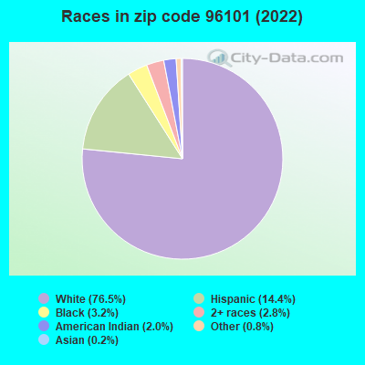 Races in zip code 96101 (2022)