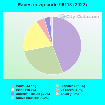 Races in zip code 96113 (2022)