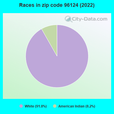 Races in zip code 96124 (2022)