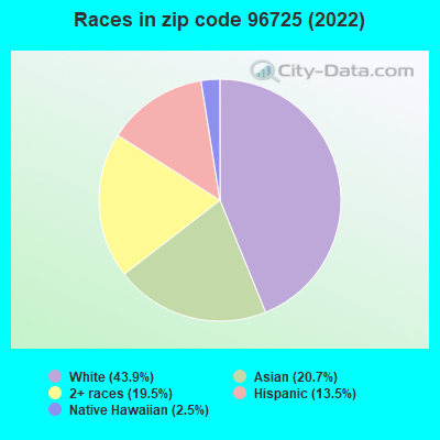 Races in zip code 96725 (2022)