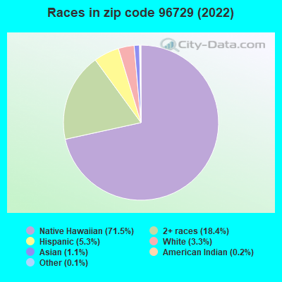 Races in zip code 96729 (2022)