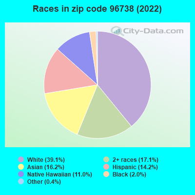 Races in zip code 96738 (2022)