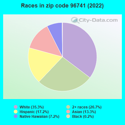 Races in zip code 96741 (2022)
