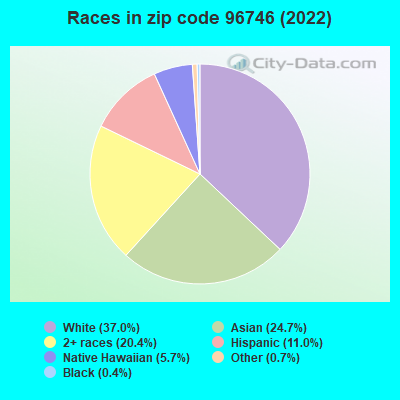 Races in zip code 96746 (2022)