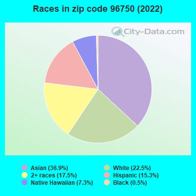 Races in zip code 96750 (2022)
