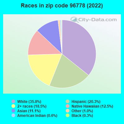 Races in zip code 96778 (2022)