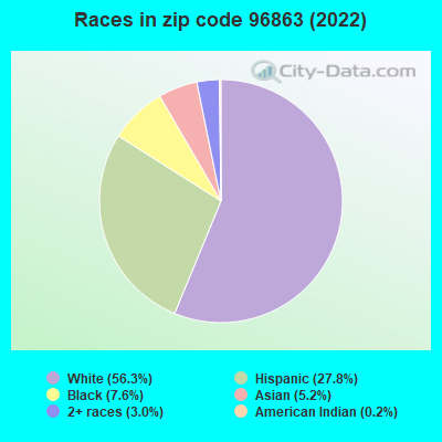 Races in zip code 96863 (2022)