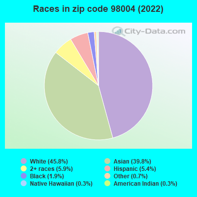 Races in zip code 98004 (2022)