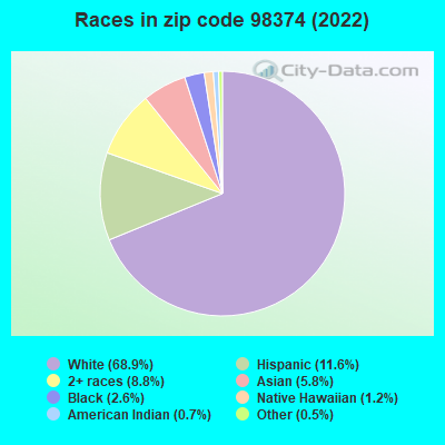 Races in zip code 98374 (2022)