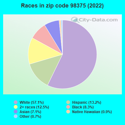 Races in zip code 98375 (2022)