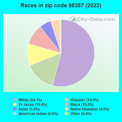 Races in zip code 98387 (2022)
