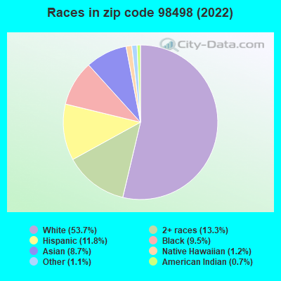 Races in zip code 98498 (2022)