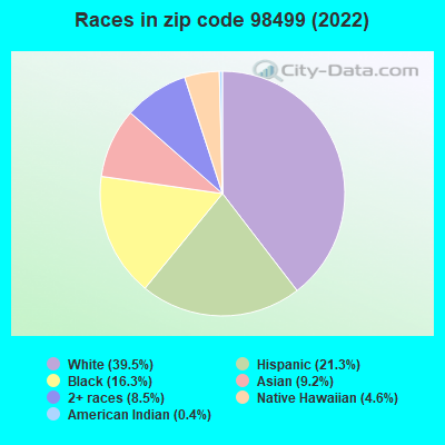 Races in zip code 98499 (2022)