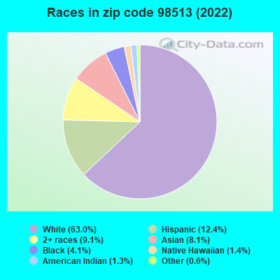 Races in zip code 98513 (2022)