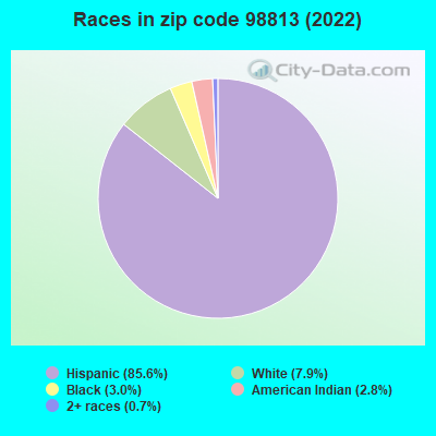 Races in zip code 98813 (2022)