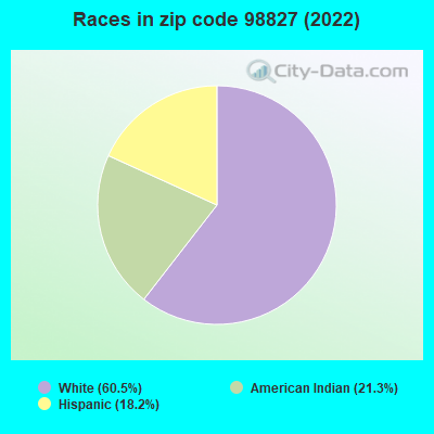 Races in zip code 98827 (2022)