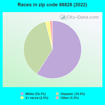 Races in zip code 98828 (2022)