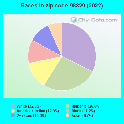 Races in zip code 98829 (2022)