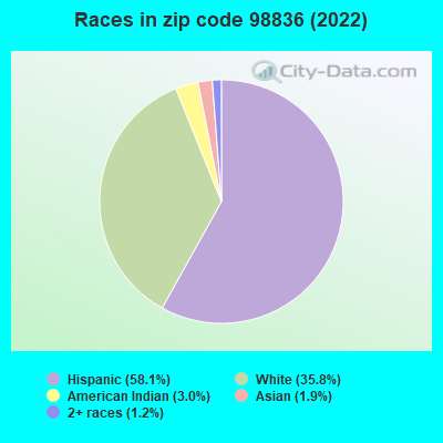 Races in zip code 98836 (2022)