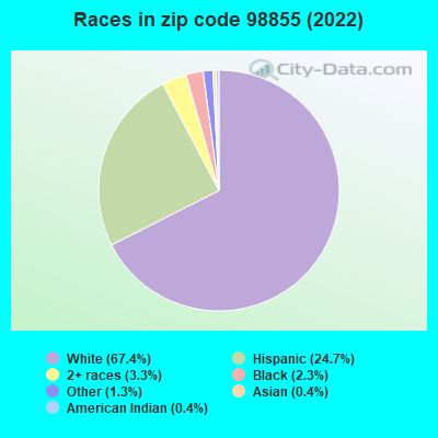 Races in zip code 98855 (2022)