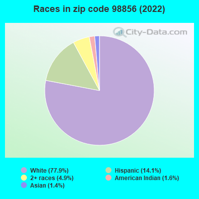 Races in zip code 98856 (2022)