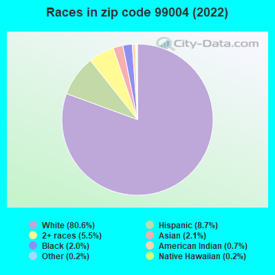 Races in zip code 99004 (2022)