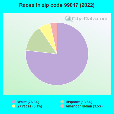 Races in zip code 99017 (2022)
