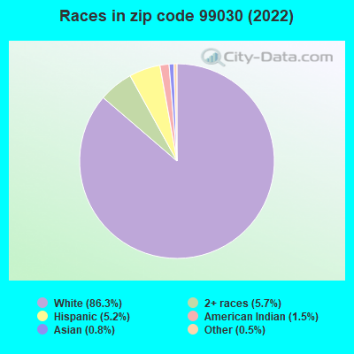 Races in zip code 99030 (2022)