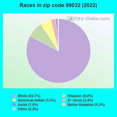 Races in zip code 99032 (2022)