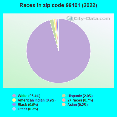 Races in zip code 99101 (2022)