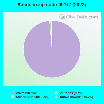 Races in zip code 99117 (2022)