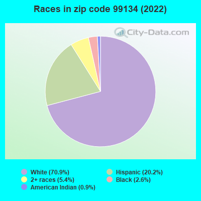 Races in zip code 99134 (2022)