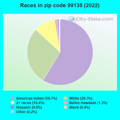 Races in zip code 99138 (2022)