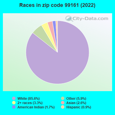 Races in zip code 99161 (2022)