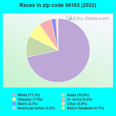 Races in zip code 99163 (2022)