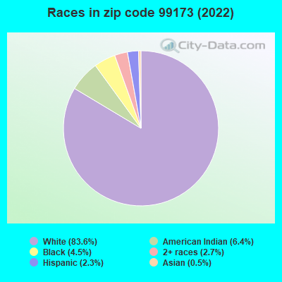 Races in zip code 99173 (2022)