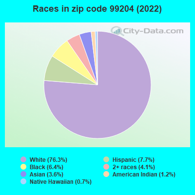 Races in zip code 99204 (2022)