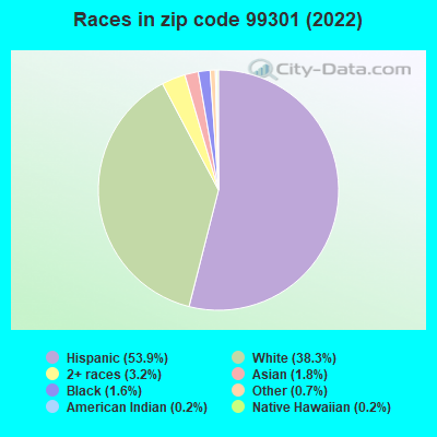 Races in zip code 99301 (2022)