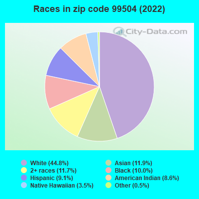 Races in zip code 99504 (2022)