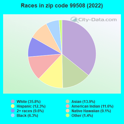 Races in zip code 99508 (2022)
