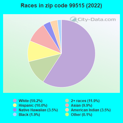 Races in zip code 99515 (2022)